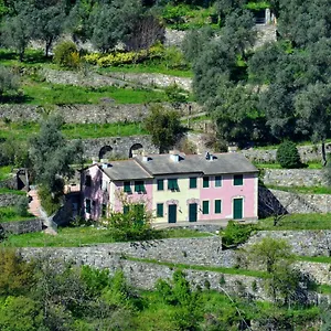 Appartamento Olivari - Apt Il Cedro, Camogli